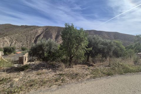 Landejendom i Cantoria, Almeria, Cantoria - € 69.000 | Ref: Casa Nispolero - foto 6